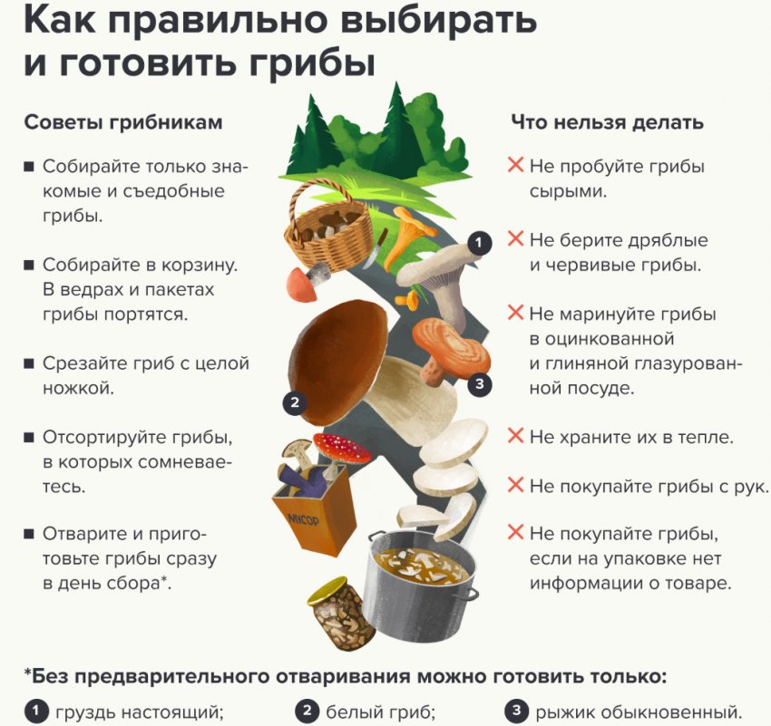 Как выбирать грибы