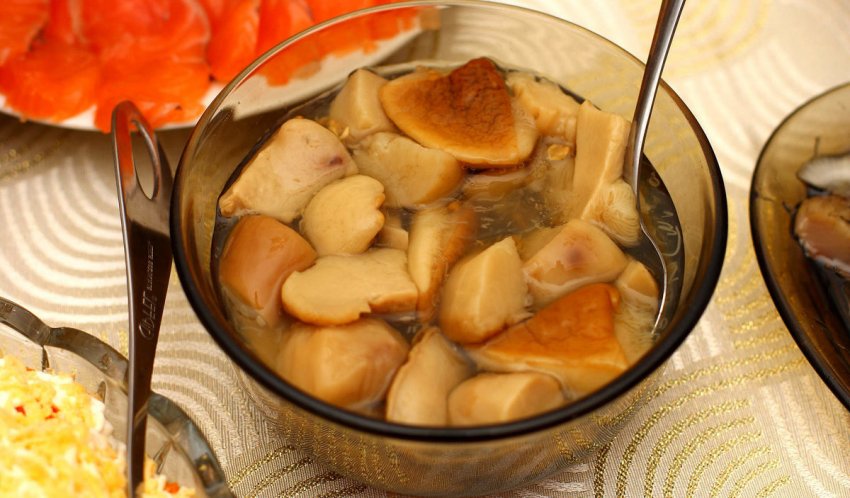 Солёные млечники