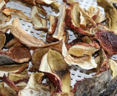 Як висушити білі гриби в домашніх умовах