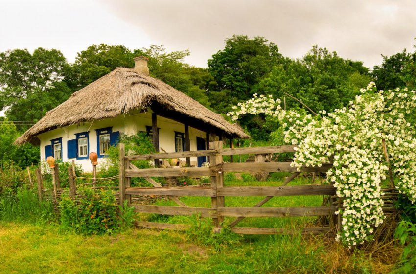 Ринок землі в Україні запустять 1 жовтня 2020 року