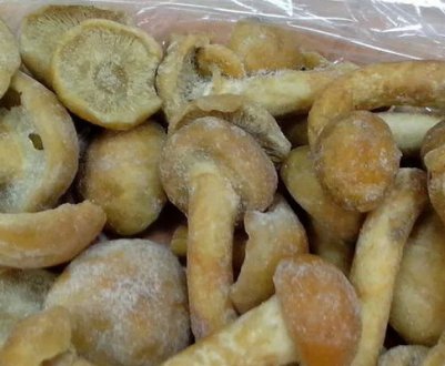 Правила заморозки опеньків на зиму