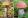 Какой гриб полезнее подосиновик или подберезовик thumbnail