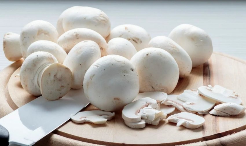 Свіжі печериці Свіжі печериці