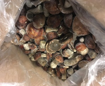 Як зберігати підосичники в морозилці свіжими