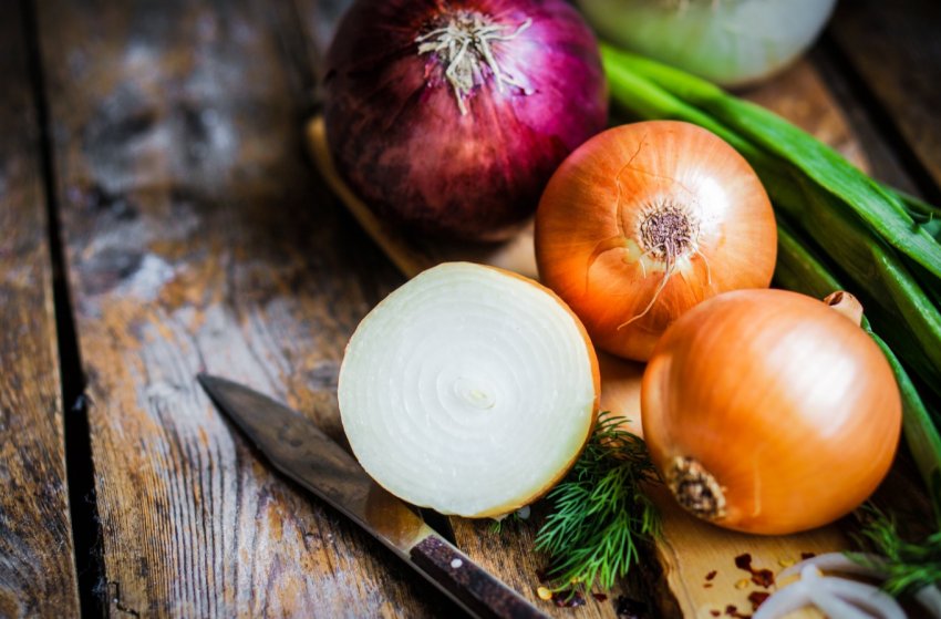 Херсонське господарство налагодила повний цикл виробництва цибулі Херсонське господарство налагодила повний цикл виробництва цибулі