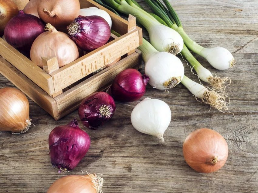 Херсонське господарство налагодила повний цикл виробництва цибулі Херсонське господарство налагодила повний цикл виробництва цибулі