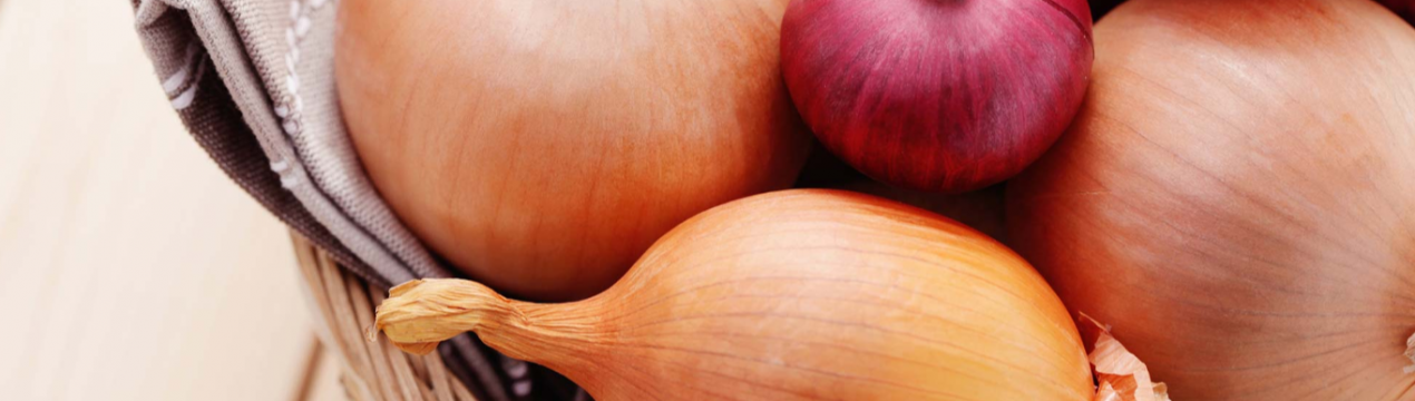 Херсонське господарство налагодила повний цикл виробництва цибулі