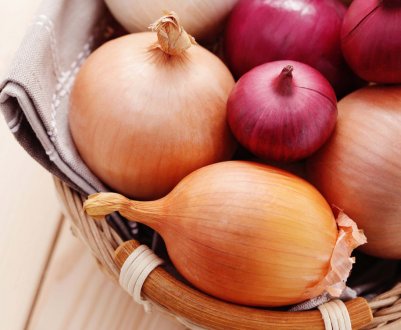 Херсонське господарство налагодила повний цикл виробництва цибулі