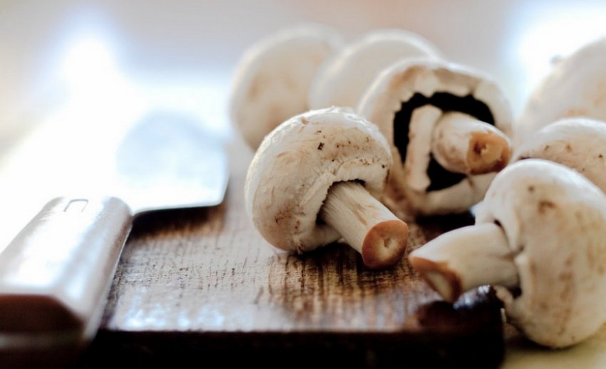 Свіжі печериці Свіжі печериці