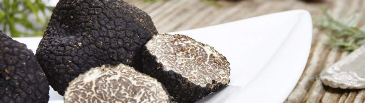 Гриб трюфель: склад і БЖУ, властивості, протипоказання