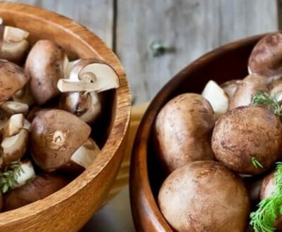 Основні види печериць