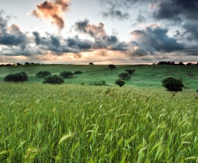 Негода порушує плани білоруських аграріїв