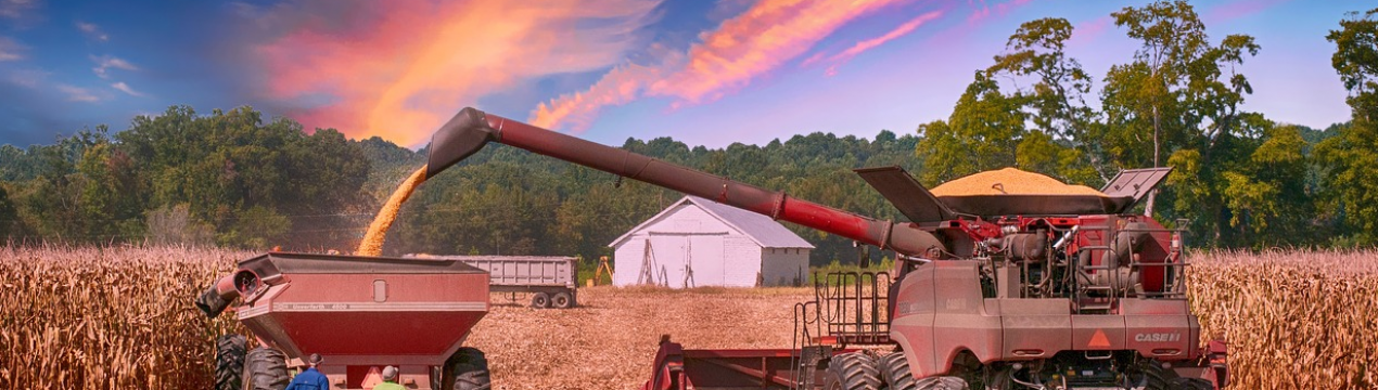 За два роки кількість фермерських господарств в Україні зросла на 14 тисяч