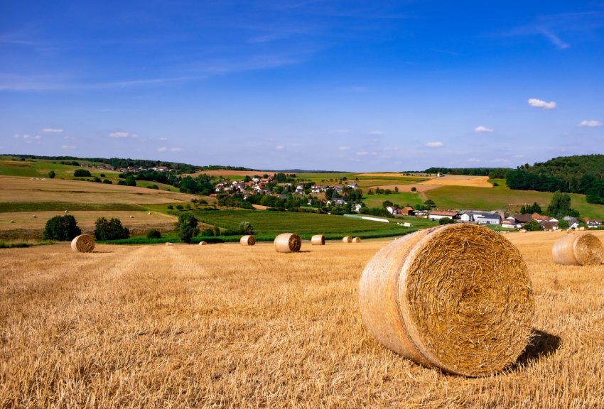 За два роки кількість фермерських господарств в Україні зросла на 14 тисяч