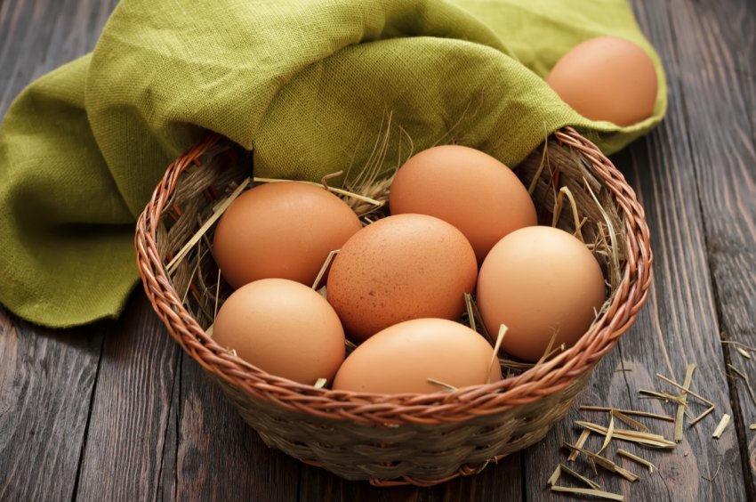 На ульяновських просторах зросте унікальний птахокомплекс На ульяновських просторах зросте унікальний птахокомплекс