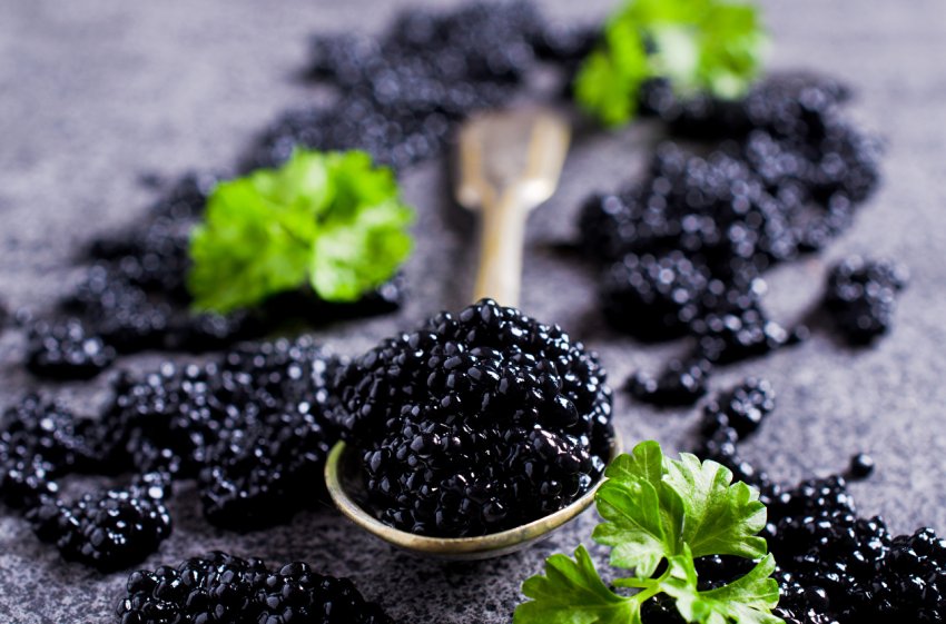 «Українське аквакультурное співтовариство» буде розвивати торгову марку «Вирощено в Україні»