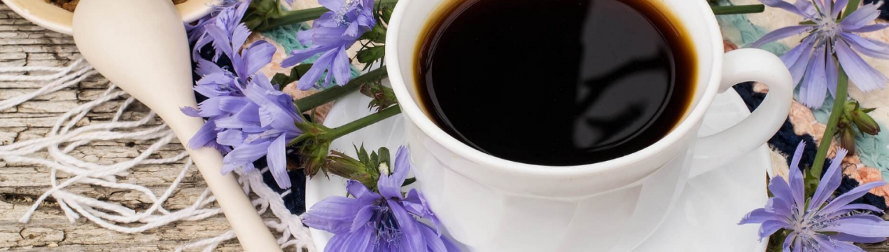 Вирощування цикорію планують відродити в Сумській області 