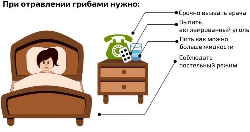Дії при отруєнні грибами Дії при отруєнні грибами