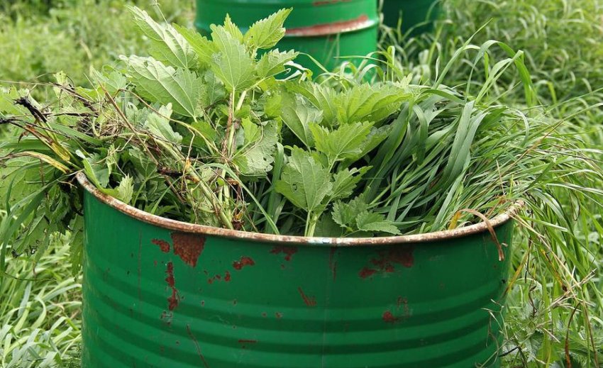 «Зелене» добриво «Зелене» добриво