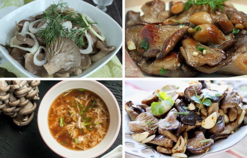 Використання грибів в кулінарії Використання грибів в кулінарії