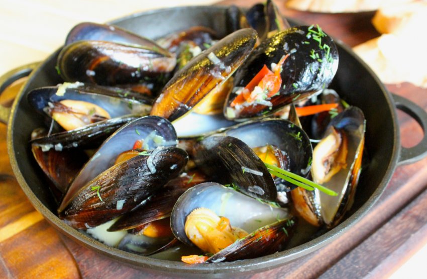 Російські аквафермеры почнуть вирощувати в Японському морі молюсків Російські аквафермеры почнуть вирощувати в Японському морі молюсків