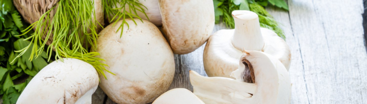 «Треба більше грибів!» Мінські заготівельники не задоволені результатами «тихого полювання»