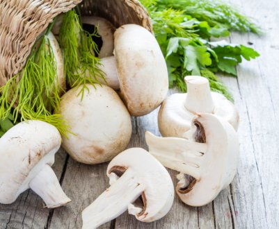  «Треба більше грибів!» Мінські заготівельники не задоволені результатами «тихого полювання»