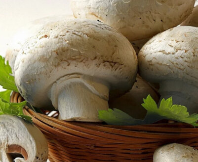 Склад, корисні й шкідливі властивості печериць