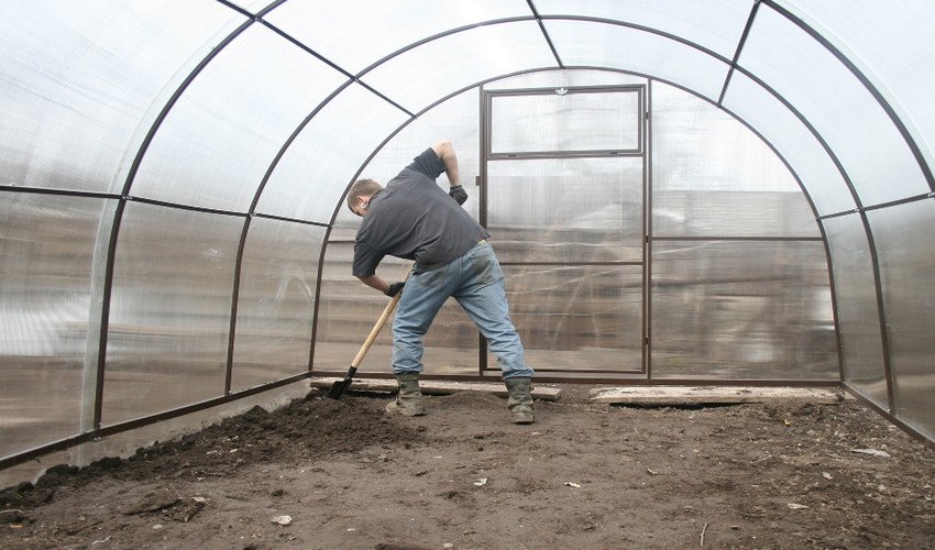 Підготовка теплиці