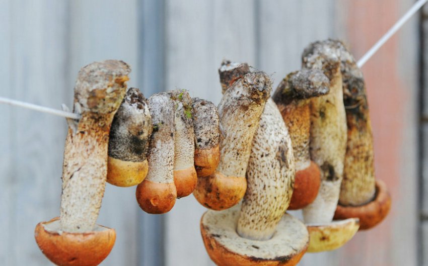 Сушіння на відкритому повітрі Сушіння на відкритому повітрі