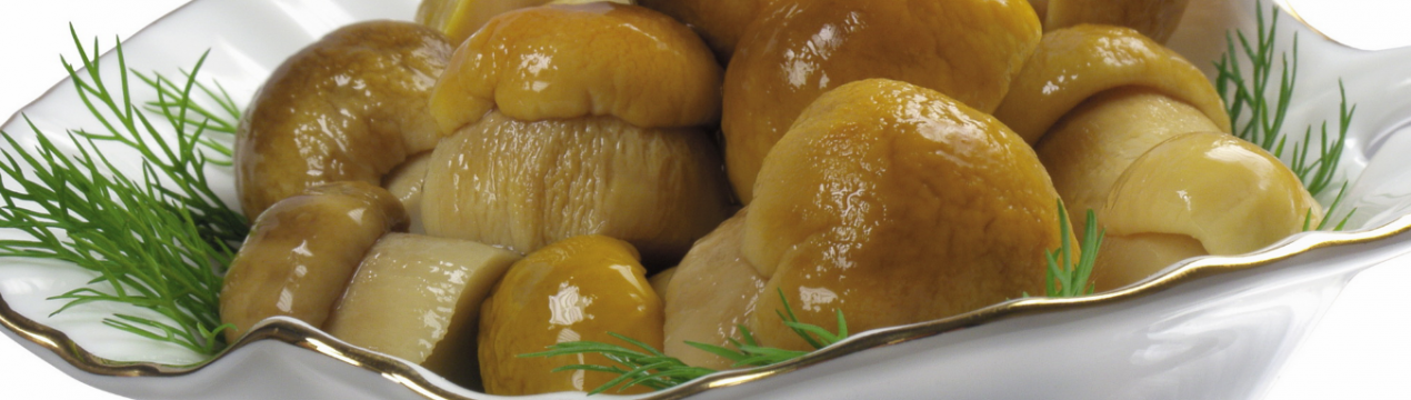 Приготування страв із польського гриба