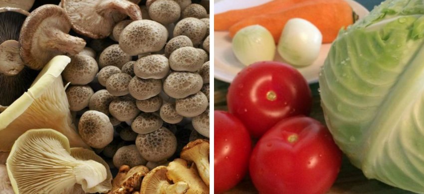 Вибір інгредієнтів Вибір інгредієнтів