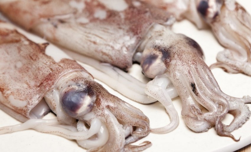 Неочищений кальмар
