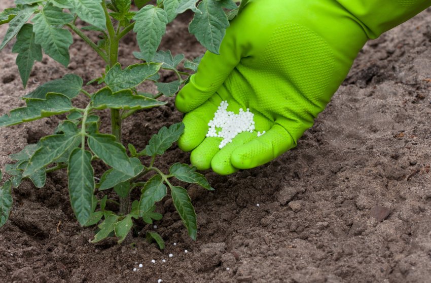 Індійських фермерів навчать складати в переробку пластикову тару від добрив