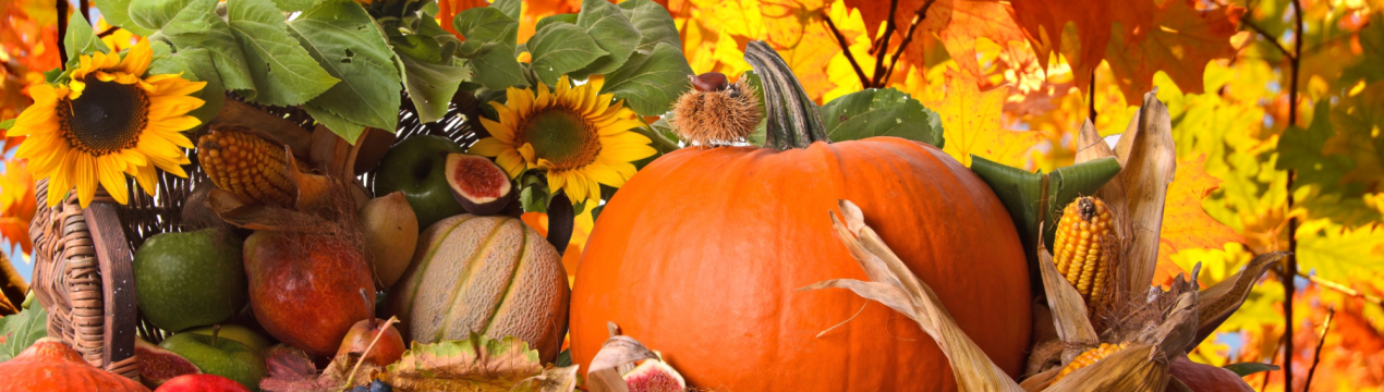 У Білгороді влаштовують «Осінній сад»