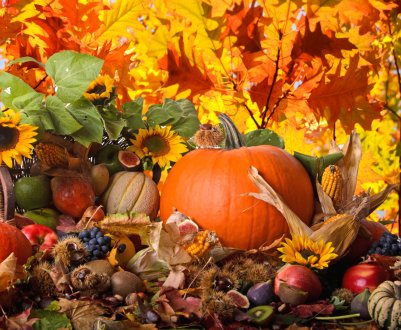 У Білгороді влаштовують «Осінній сад»