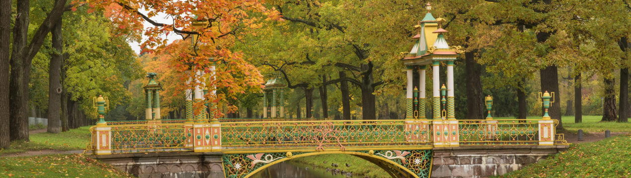 Залишилося три дні до петербурзької «зеленої» виставки