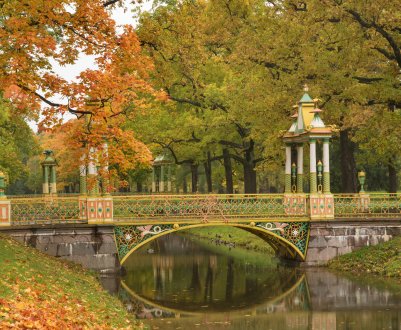 Залишилося три дні до петербурзької «зеленої» виставки