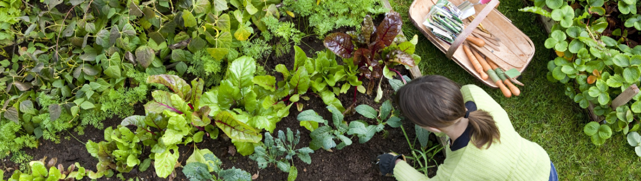 У Полтавській області з'явилося ще одне органічне господарство