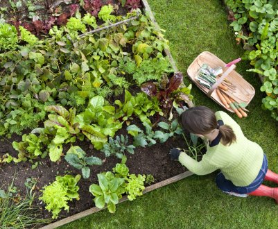 У Полтавській області з'явилося ще одне органічне господарство