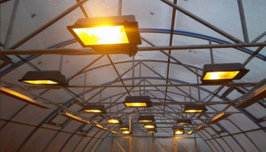 Люмінесцентні лампи для теплиці