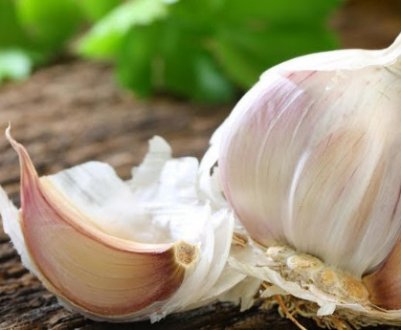 Часникова лушпиння: корисні властивості і протипоказання