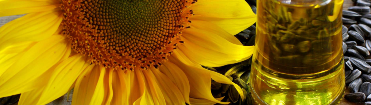 У Туркменії річний обсяг виробництва соняшникової олії зросте на 7,5 тисяч тонн