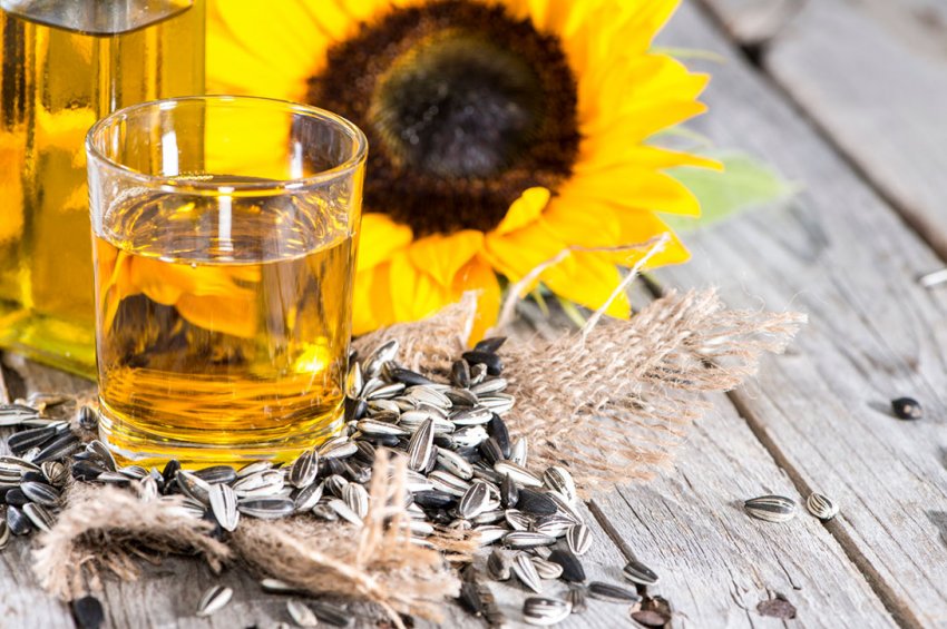 В Туркменії річний обсяг виробництва соняшникової олії зросте на 7,5 тисяч тонн