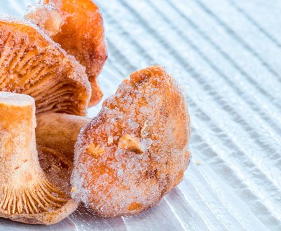 Як можна заморозити лисички на зиму?