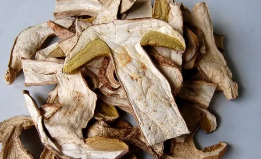 Сушений жовтий боровик Сушений жовтий боровик