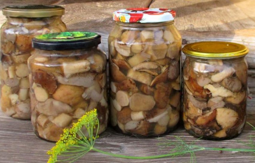 Мариновані підберезники