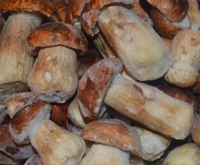 Страви на основі заморожених грибів