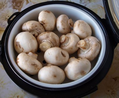 Способи приготування печериць у мультиварці