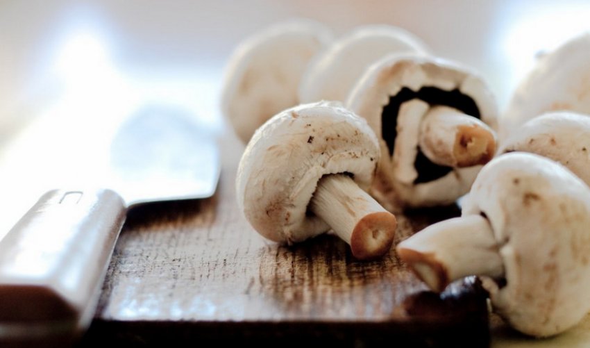 Свіжі печериці